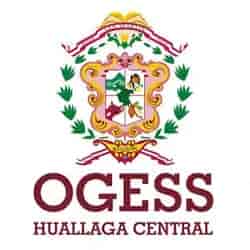 Oficina de Gestión de Servicios de Salud Huallaga Central - OGESS Huallaga Central